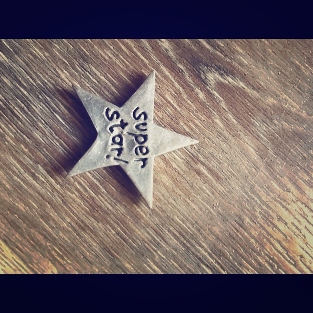 🌼 Super Star metal Magnet